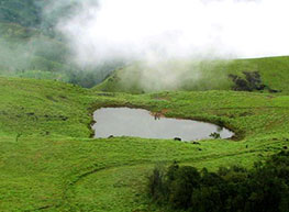 Haritagiri Hotel and Ayurvedic Village
