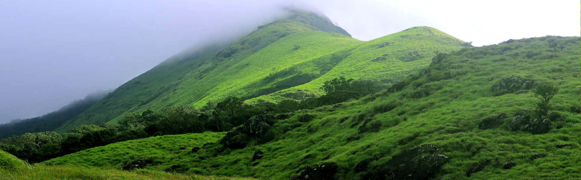 Chembra Peak Wayanad